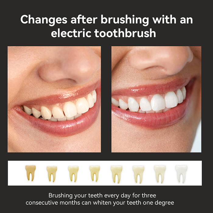 Brosse à dents électrique Ultrapuissante accompagnée de 12 têtes de rechange pour des dents blanches